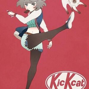 Kickcat