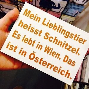 Lieblingstier