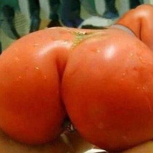 Tomatenarsch