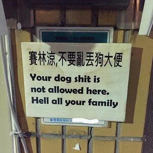 Dogshit