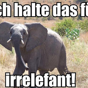 Elefant