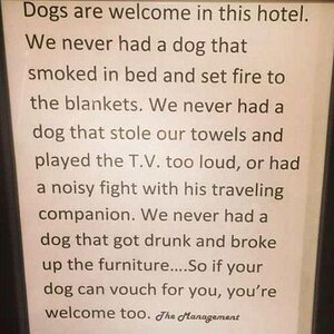 DogfriendlyHotel