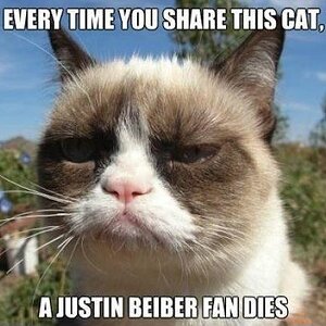 Bieber-fan