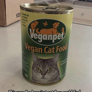 Veganeskatzenfuter