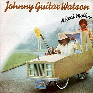 JohnnyGuitarWatson