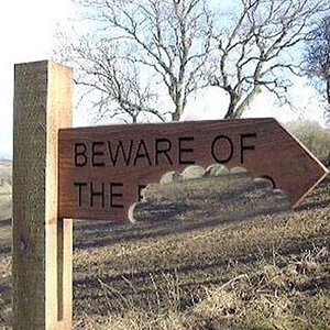 Beware-of-the