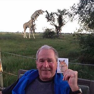 GiraffeGeorge