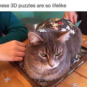 3DPuzzle