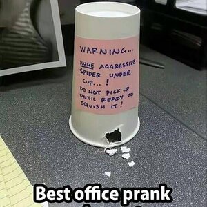 BestOfficePrank