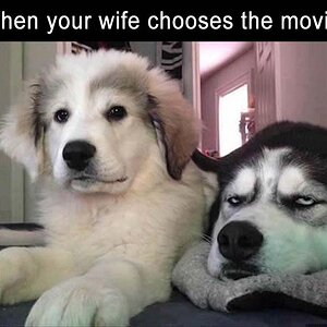 AWifeChooseMovie