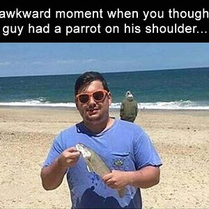 GuyParrot