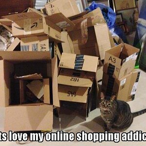 CatsOnlineShopping