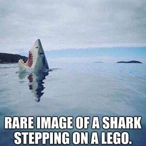 LegoSteppingShark