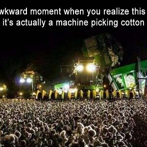 CottonPicking