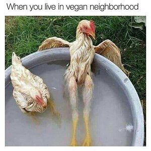 Veganes