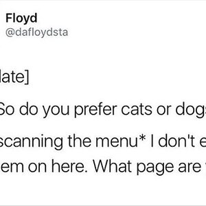 CatsOrDogs