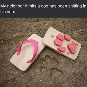 NeighbourDog