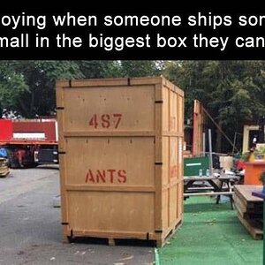 BiggestBox