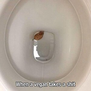 Veganershit