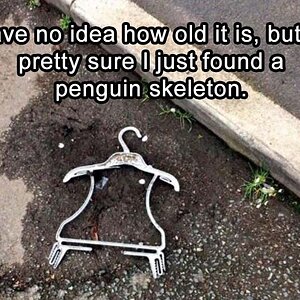 PenguinSkeletton