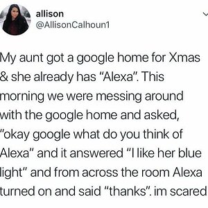 AlexaGoogleHome