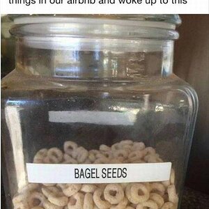 BagelSeeds