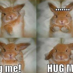 HugMe