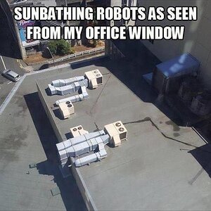 SunbathingRobots