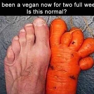 Vegan2Weeks