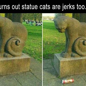 StatueCats