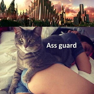 Assguard