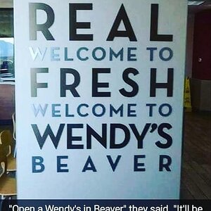 WendyBeaver