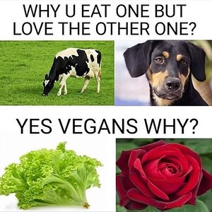 EatVegan