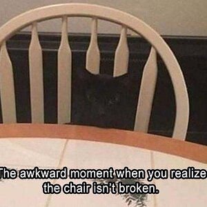 ChairNotBroken