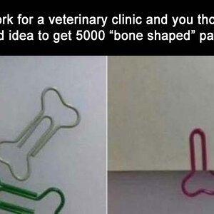 BoneShapePaperClips