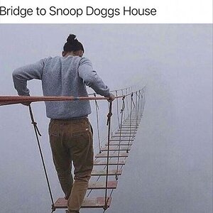 BridgeSnoop