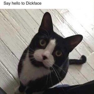 Dickface