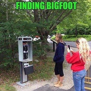 FindingBigfoot