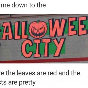 AHalloweenCity