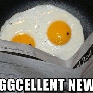 Funny-eggs