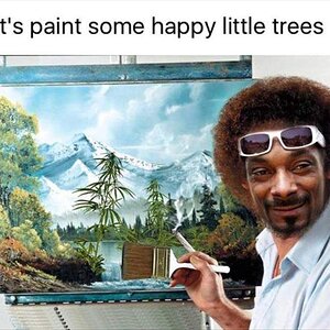 HappyLittleTrees