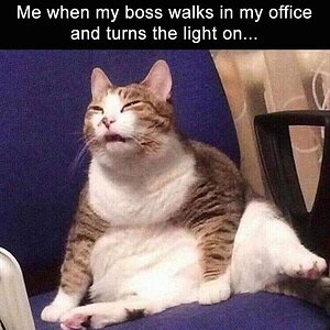 BossOffice