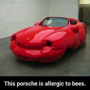 Allegic-to-bees