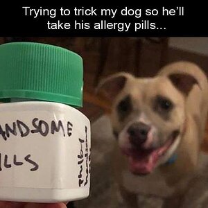 HandsomePills