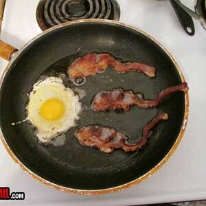 cooking-humor-win-sperm-egg.jpg