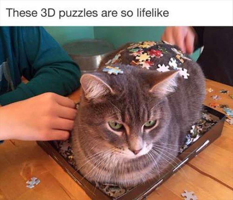 3DPuzzle