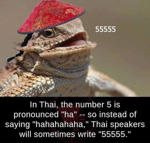 555