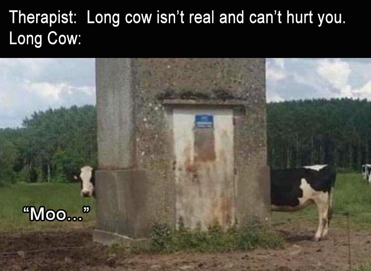 AaLongCow