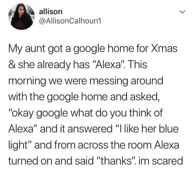 AlexaGoogleHome