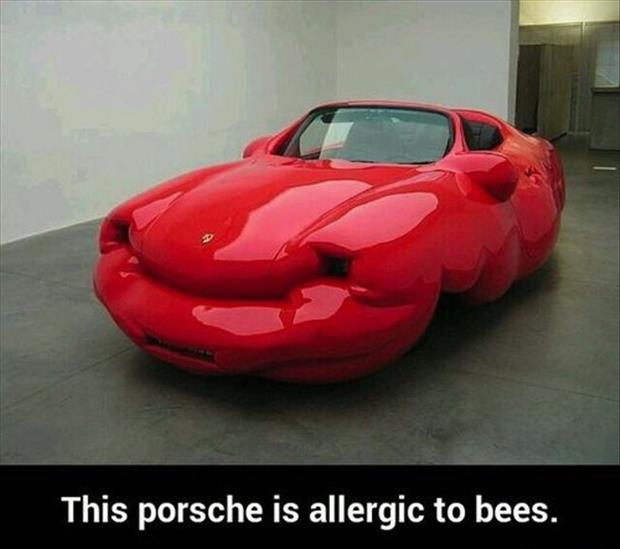 Allegic-to-bees